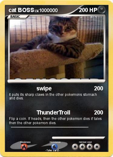 Pokemon cat BOSS