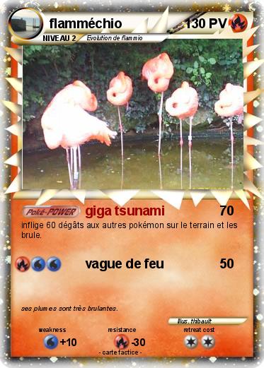 Pokemon flamméchio