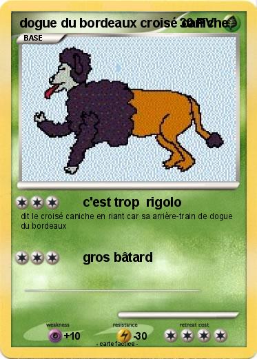 Pokemon dogue du bordeaux croisé caniche