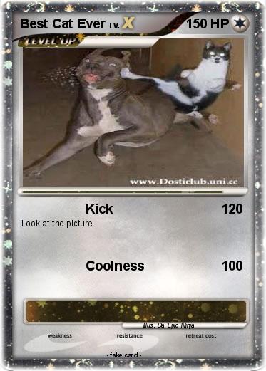 Pokemon Best Cat Ever