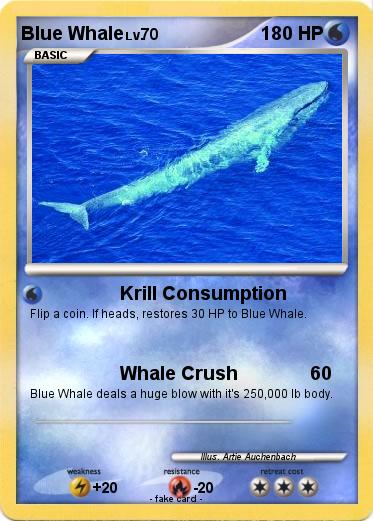 Pokemon Blue Whale