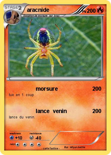 Pokemon aracnide
