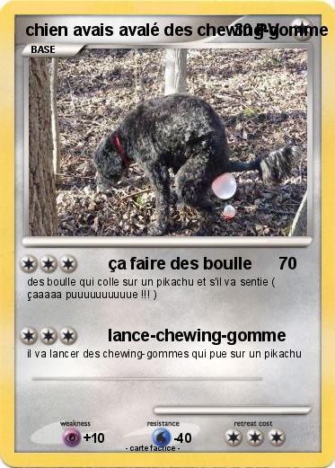 Pokemon chien avais avalé des chewing-gomme