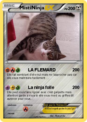 Pokemon MistiNinja