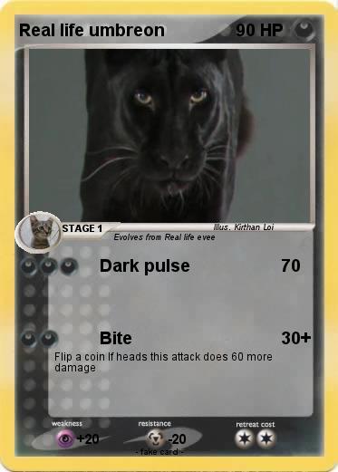 Pokemon Real life umbreon