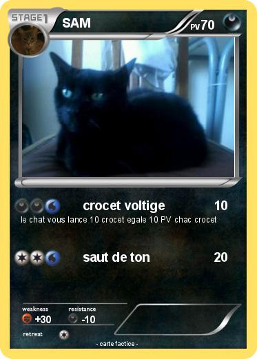 Pokemon SAM