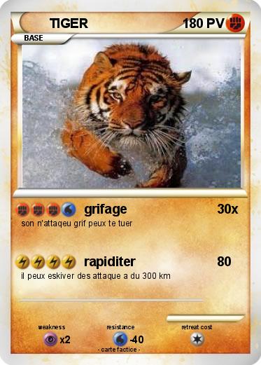 Pokemon TIGER