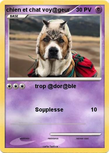 Pokemon chien et chat voy@geur