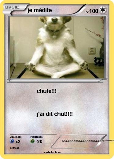 Pokemon je médite