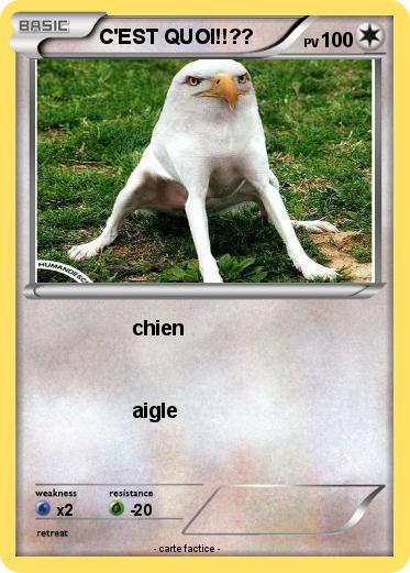 Pokemon C'EST QUOI!!??