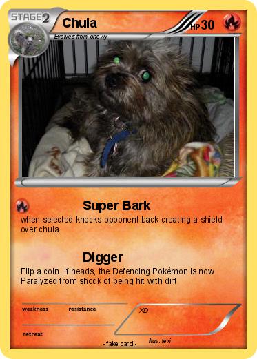 Pokemon Chula