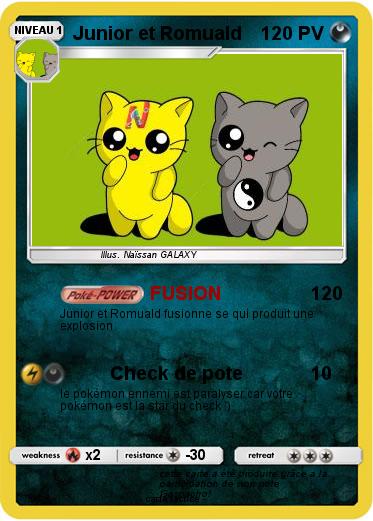Pokemon Junior et Romuald