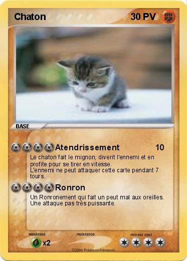 Pokemon Chaton 