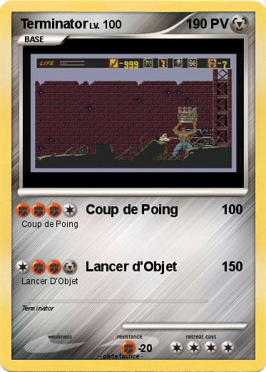 Pokemon Terminator