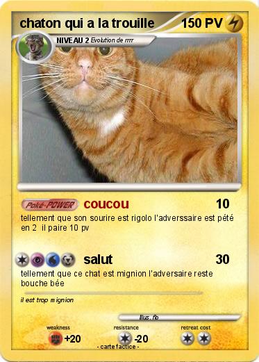 Pokemon chaton qui a la trouille