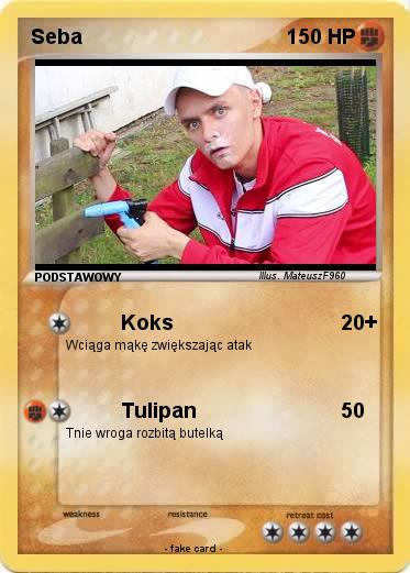 Pokemon Seba