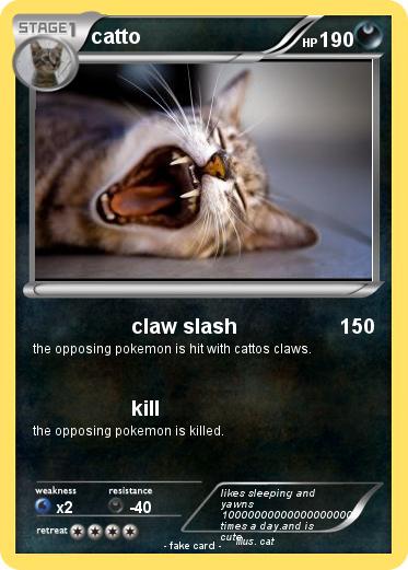 Pokemon catto