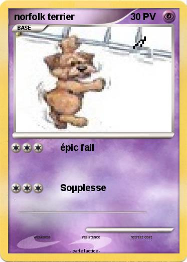 Pokemon norfolk terrier