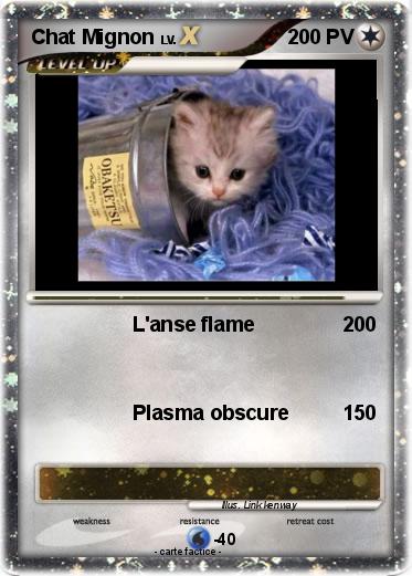Pokemon Chat Mignon