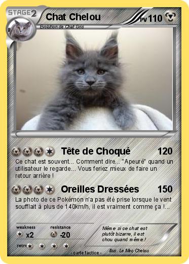 Pokemon Chat Chelou