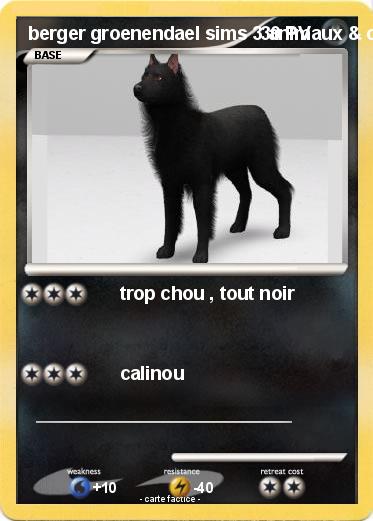 Pokemon berger groenendael sims 3 animaux & cie