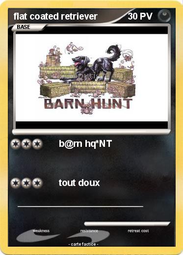 Pokemon flat coated retriever