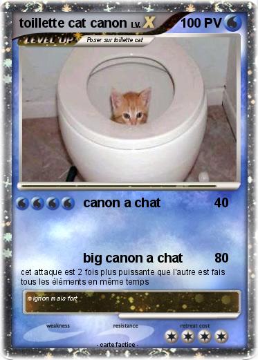Pokemon toillette cat canon