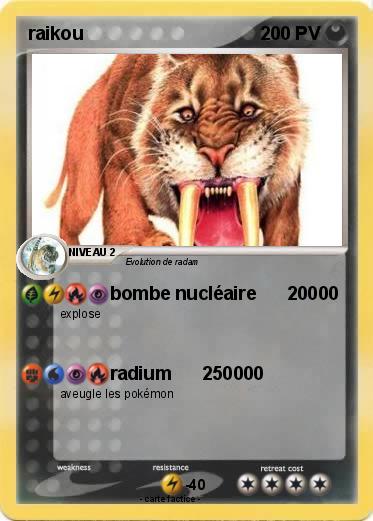 Pokemon raikou