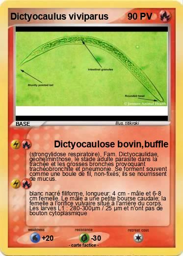 Pokemon Dictyocaulus viviparus