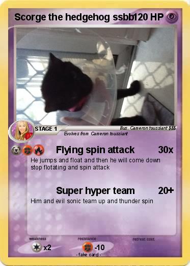 Pokemon Scorge the hedgehog ssbb