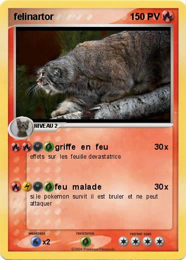 Pokemon felinartor
