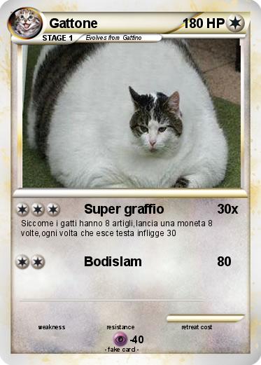Pokemon Gattone