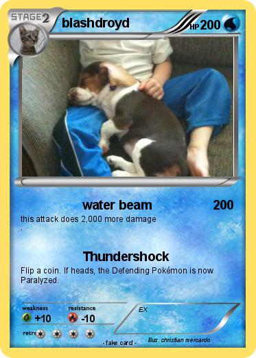 Pokemon blashdroyd