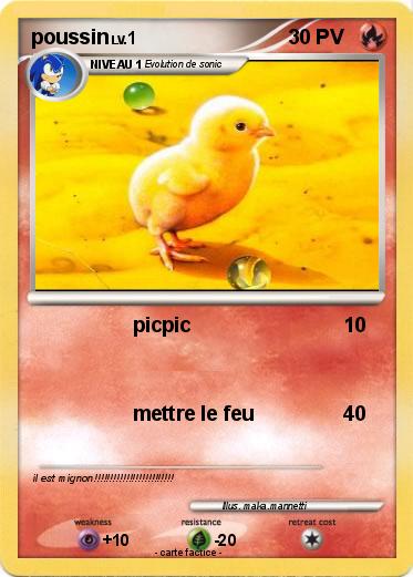 Pokemon poussin