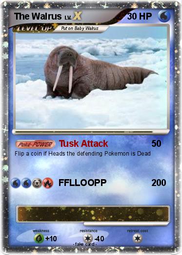 Pokemon The Walrus