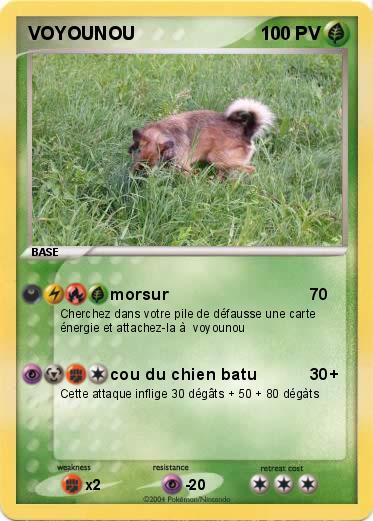 Pokemon VOYOUNOU