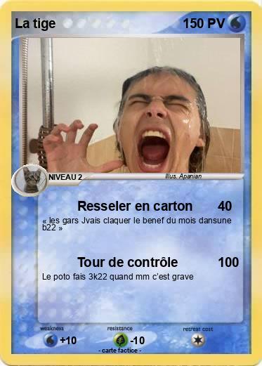 Pokemon La tige