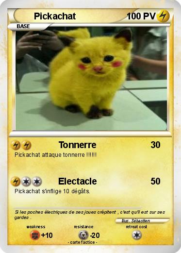 Pokemon Pickachat