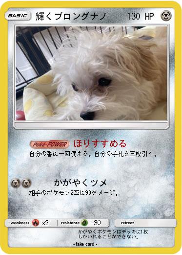 Pokemon 輝くブロングナノ