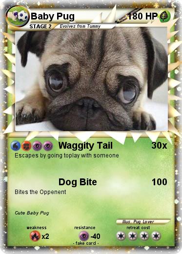 Pokemon Baby Pug