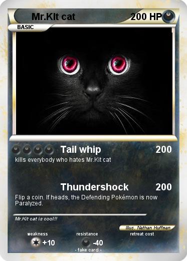 Pokemon Mr.KIt cat