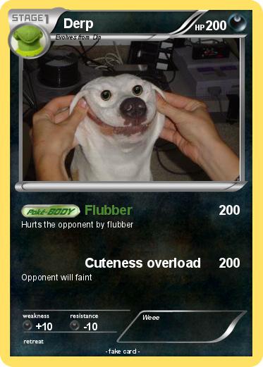 Pokemon Derp