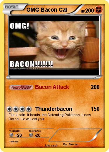 Pokemon OMG Bacon Cat
