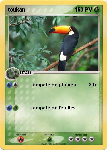 Pokemon toukan