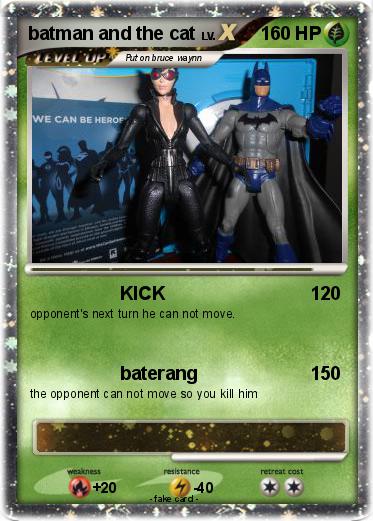 Pokemon batman and the cat