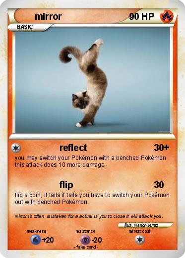 Pokemon mirror