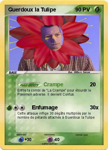 Pokemon Guerdoux la Tulipe