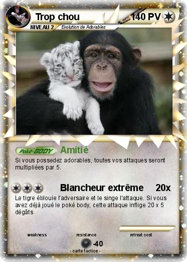 Pokemon Trop chou