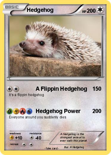Pokemon Hedgehog