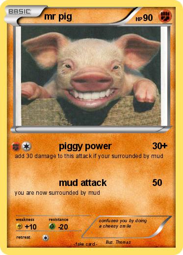 Pokemon mr pig